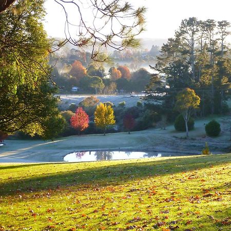 ドリンゴ Lookout Mountain Retreatモーテル エクステリア 写真